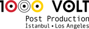 1000 Volt