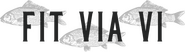 Fit Via Vi