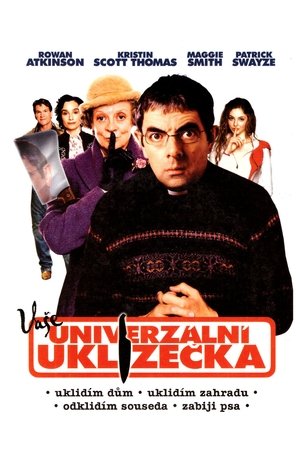 Univerzální uklízečka