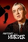 Anatomie vraždy