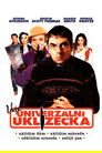 Univerzální uklízečka