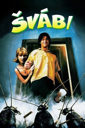 Švábi