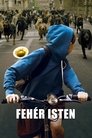 Bílý Bůh