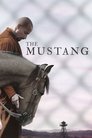 Divoký mustang