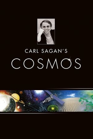 Kosmos