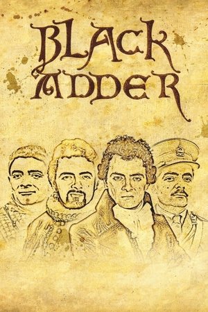Černá zmije