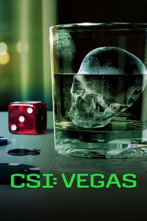 Kriminálka Vegas