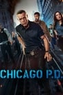 Policie Chicago