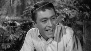 The Andy Griffith Show 15. epizoda