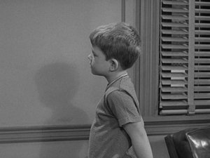 The Andy Griffith Show 13. epizoda