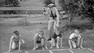 The Andy Griffith Show 19. epizoda