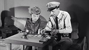 The Andy Griffith Show 14. epizoda