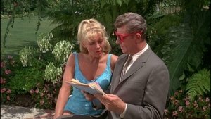 The Andy Griffith Show 4. epizoda