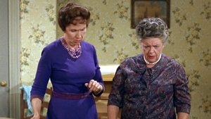 The Andy Griffith Show 19. epizoda