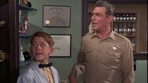 The Andy Griffith Show 19. epizoda
