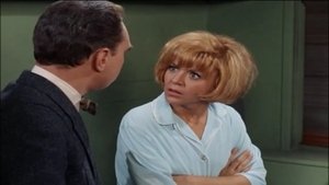 The Andy Griffith Show 12. epizoda