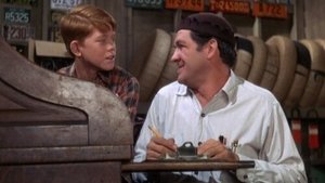 The Andy Griffith Show 30. epizoda