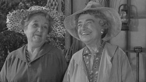 The Andy Griffith Show 17. epizoda