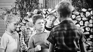 The Andy Griffith Show 14. epizoda