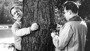 The Andy Griffith Show 22. epizoda
