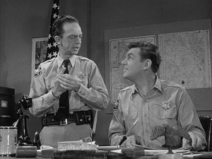 The Andy Griffith Show 15. epizoda