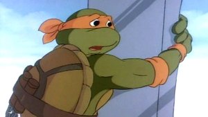 Želvy Ninja Maltézský křeček