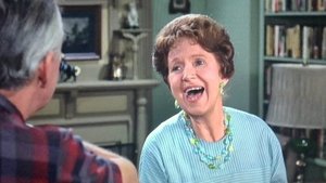 The Andy Griffith Show 14. epizoda