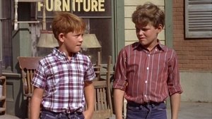 The Andy Griffith Show 1. epizoda