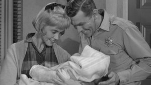 The Andy Griffith Show 12. epizoda
