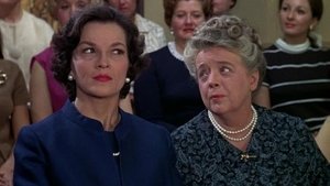 The Andy Griffith Show 20. epizoda