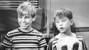 The Andy Griffith Show 14. epizoda
