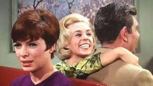 The Andy Griffith Show 24. epizoda
