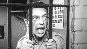 The Andy Griffith Show 11. epizoda