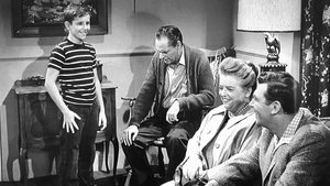 The Andy Griffith Show 16. epizoda