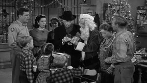 The Andy Griffith Show 11. epizoda