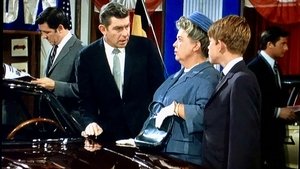 The Andy Griffith Show 22. epizoda