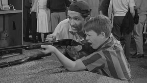 The Andy Griffith Show 31. epizoda