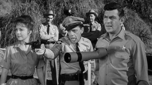 The Andy Griffith Show 19. epizoda