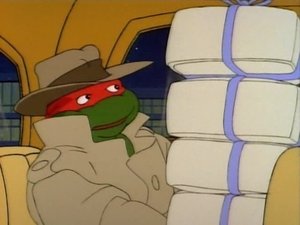 Želvy Ninja Raphaelova divoká jízda