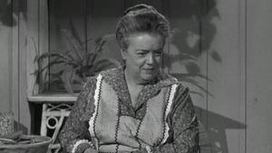 The Andy Griffith Show 9. epizoda