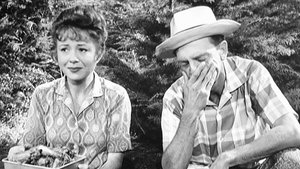 The Andy Griffith Show 13. epizoda