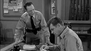 The Andy Griffith Show 26. epizoda