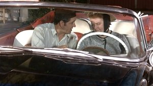 The Andy Griffith Show 21. epizoda