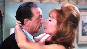 The Andy Griffith Show 19. epizoda