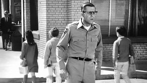 The Andy Griffith Show 32. epizoda