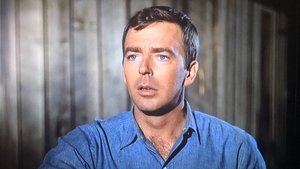 The Andy Griffith Show 27. epizoda