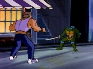 Želvy Ninja Leonardo zasahuje