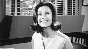The Andy Griffith Show 24. epizoda