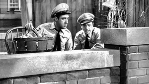 The Andy Griffith Show 32. epizoda
