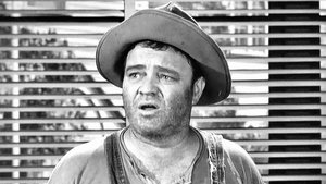 The Andy Griffith Show 20. epizoda